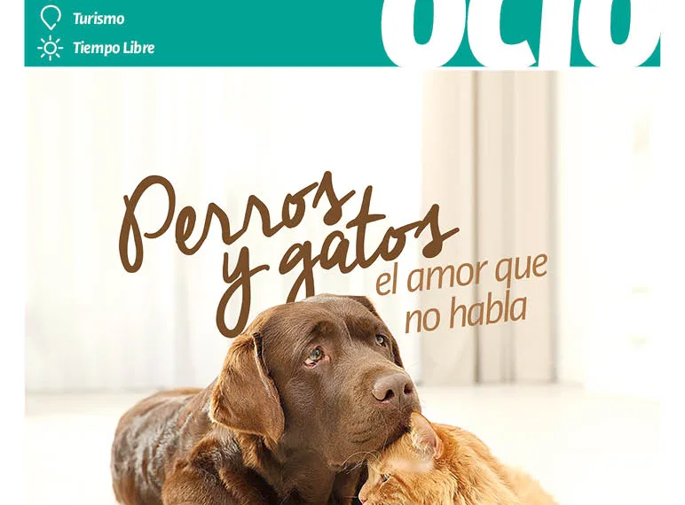 Domingo12 de julio de 2026