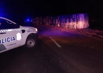 Un camión cerealero volcó en la RP 50