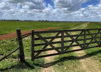 Destacan que el precio de la tierra volvió a cotizar en niveles máximos