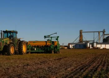 ¿Cuál es el peso del campo en la provincia de Buenos Aires?