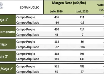Mejoran los márgenes, pero en campo alquilado siguen muy ajustados