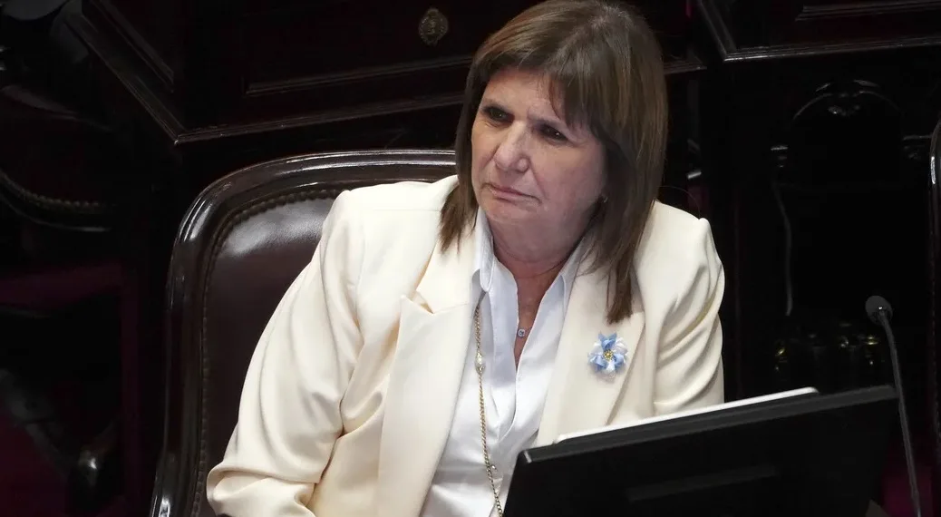 Bullrich, sobre el proyecto de propiedad privada: “Esta ley vino un poco endiablada”