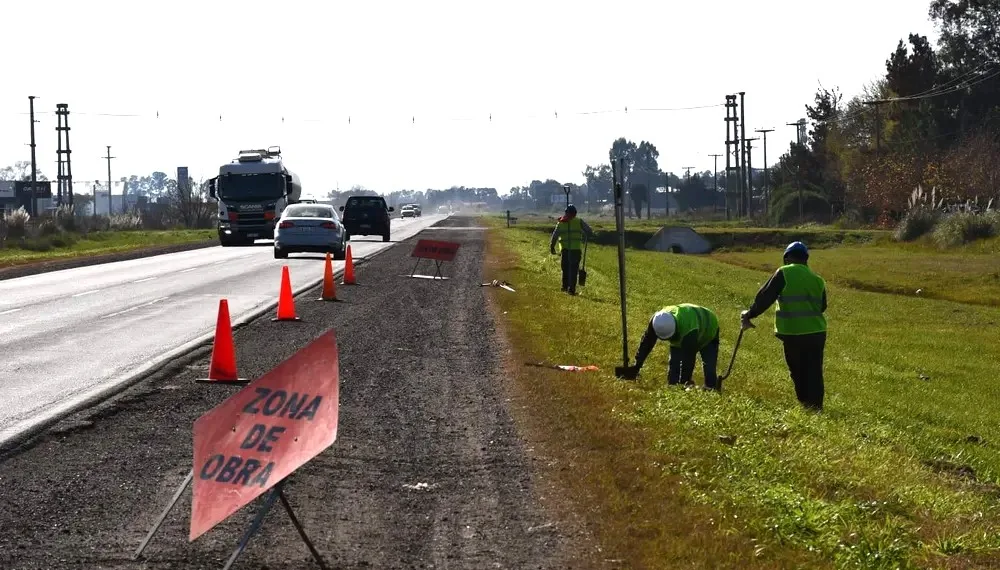 Buscan que se puedan sembrar 50.000 hectáreas al costado de rutas nacionales