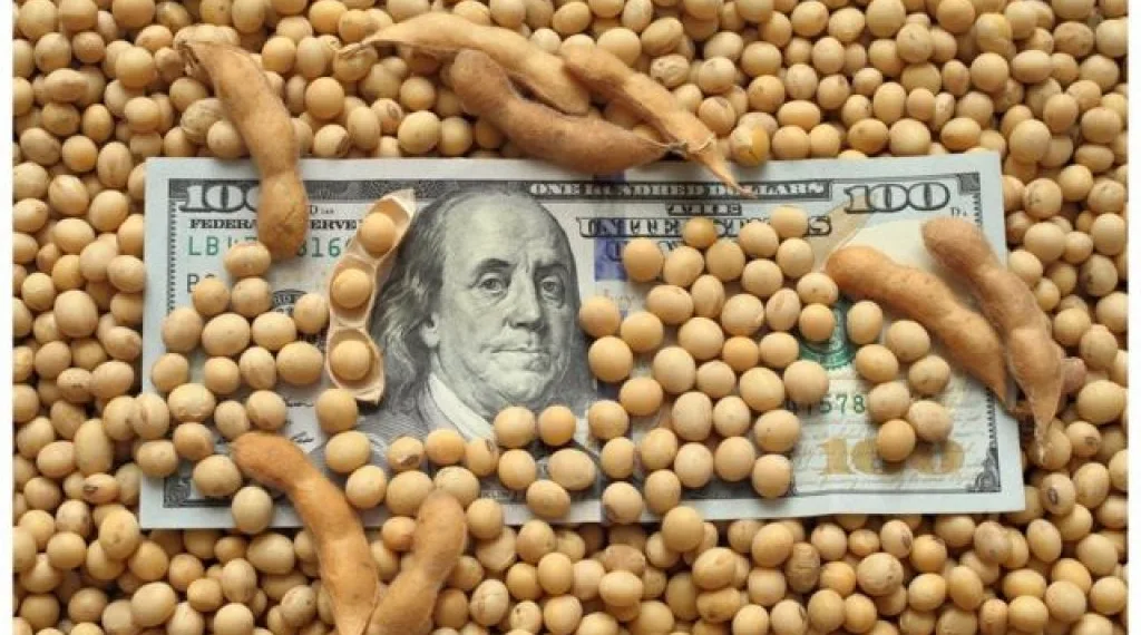 Estiman que el agro aportará US$4.613 millones por retenciones en 2026