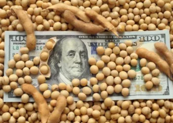 Estiman que el agro aportará US$4.613 millones por retenciones en 2026