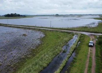 El Niño podría ser el más intenso de la historia: caerá hasta 90% más de lluvia