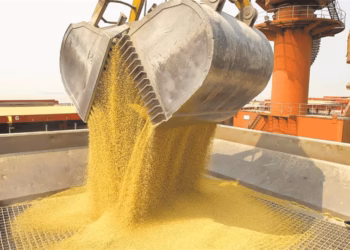 Soja y petróleo fueron los motores de las exportaciones del primer semestre