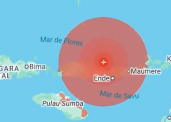 Un terremoto de magnitud 7,7 sacudió costas de Indonesia y hay alerta de tsunami