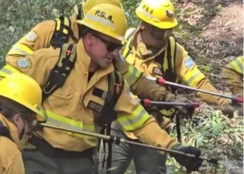 Senadores apuntan contra Milei por demorar los fondos para bomberos voluntarios