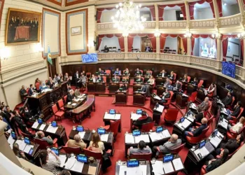 Los argumentos de La Libertad Avanza para eliminar el Senado bonaerense