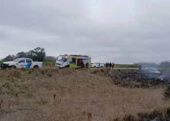Incendio de vehículo y pastizales en RP 65