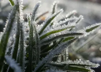 Heladas y marcas de -5 grados en el interior bonaerense