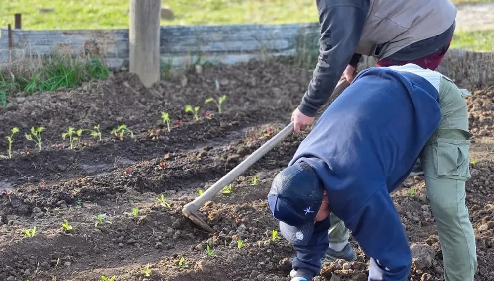 Se realizará un Censo Hortiflorícola en todo el territorio bonaerense después de 20 años