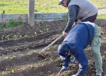 Se realizará un Censo Hortiflorícola en todo el territorio bonaerense después de 20 años