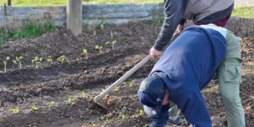 Se realizará un Censo Hortiflorícola en todo el territorio bonaerense después de 20 años