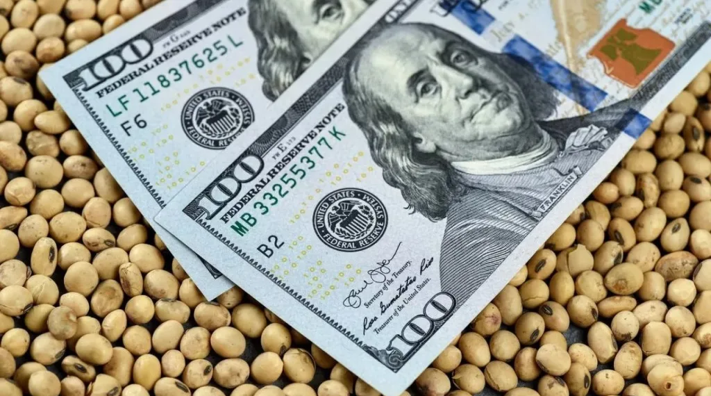Pese a la cosecha récord, el campo liquidó menos: los detalles del informe