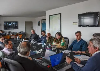 Mesa Porcina: baja rentabilidad, reducción de productores e incremento de importaciones