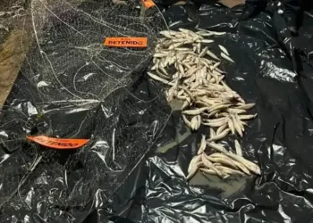 Chascomús: operativo nocturno contra la pesca ilegal en la laguna
