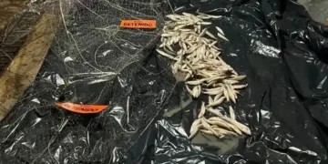 Chascomús: operativo nocturno contra la pesca ilegal en la laguna