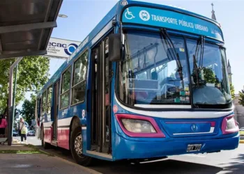 Las líneas de colectivos roja y verde prestan servicio gratuito hacia la Expo Junín