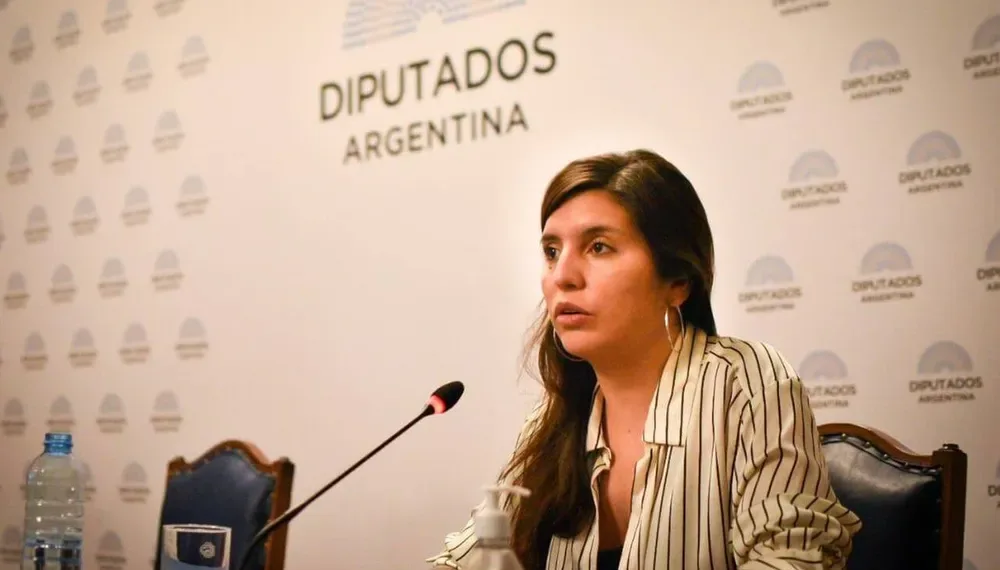 Provincia rechazó la nueva versión de la ley sobre venta de tierras a extranjeros: «es una trampa»