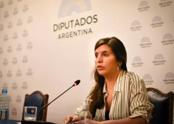 Provincia rechazó la nueva versión de la ley sobre venta de tierras a extranjeros: «es una trampa»