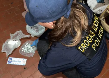 Un detenido por venta de drogas  en barrio “Almirante Brown”
