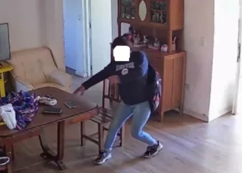 Una mujer resultó aprehendida por hurto