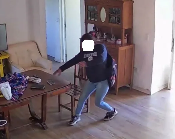 Una mujer resultó aprehendida por hurto