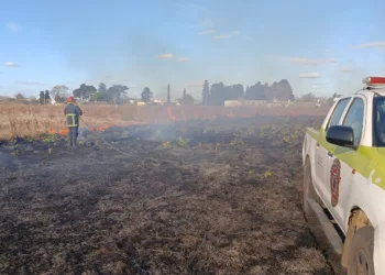Intenso accionar de Bomberos durante las últimas horas
