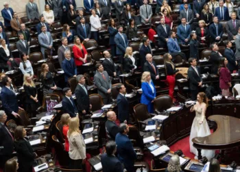 Presentaron un proyecto para declarar la emergencia nacional en salud mental