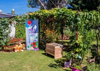 Este miércoles se relanza el programa Huerta en Casa