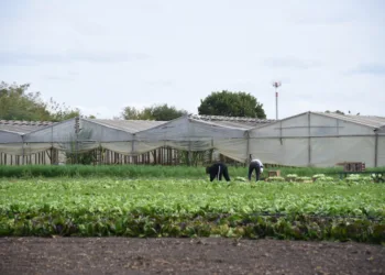 Provincia pone en marcha el Censo Hortiflorícola